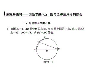 总第39课时-创新专题(七)-圆与全等三角形的综合课件.ppt