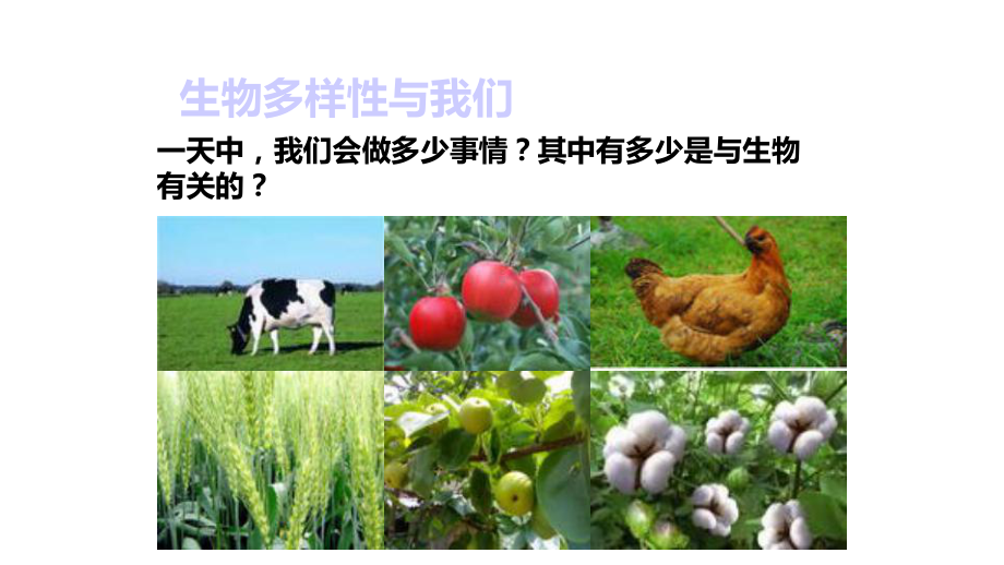 教科版科学六年级上册第四单元48《生物多样性的意义》课件.pptx_第3页