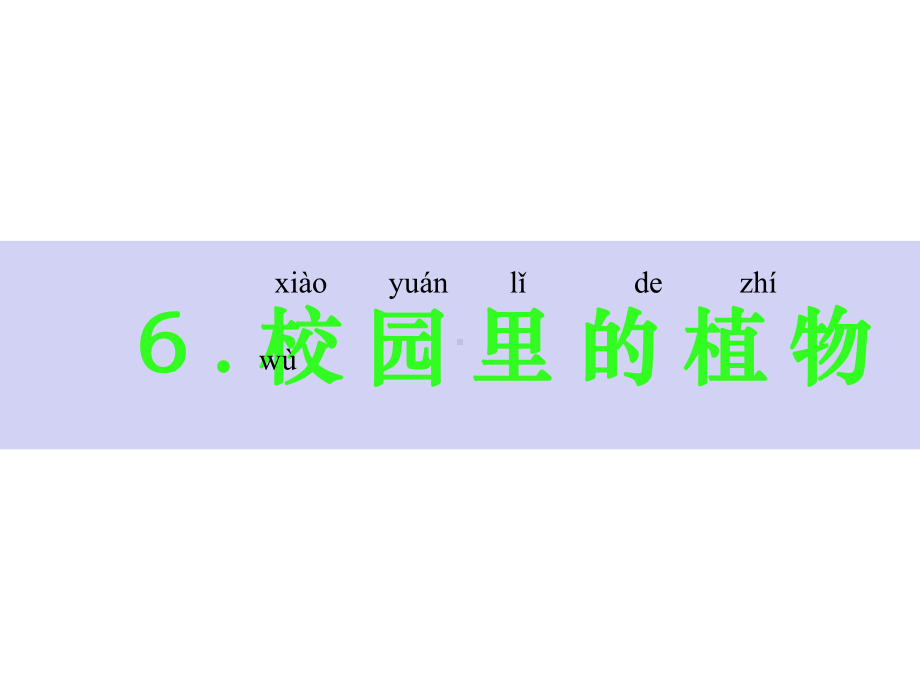 小学一年级上科学《校园里的植物》课件.pptx_第1页