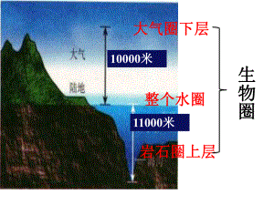 北师大版生物七年级上册第一章《生命的世界》全章课件.pptx