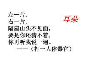 教科版四年级科学上册课件：7保护我们的听力.ppt