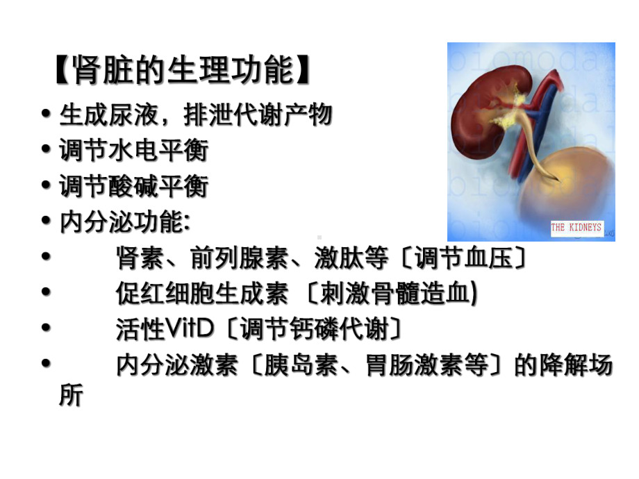 急性肾衰竭护理课件.ppt_第3页