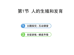 北师大版八年级生物上册《人的生殖和发育》课件.pptx