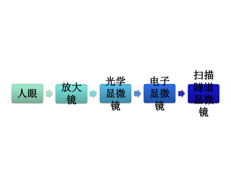 教科版小学科学六年级下册科学《微小世界》复习课件.pptx_第3页