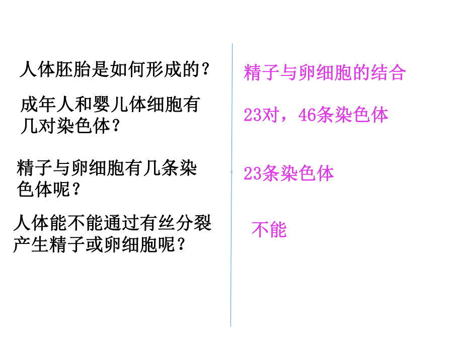 新教材生物《减数分裂和受精作用》课件推荐1.ppt_第3页