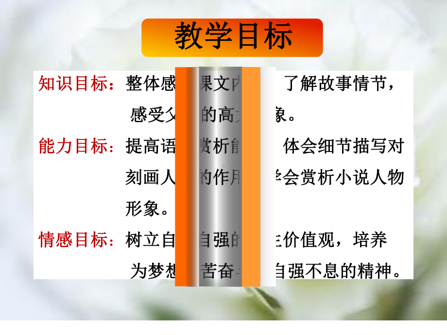 台阶经典课件.ppt_第3页