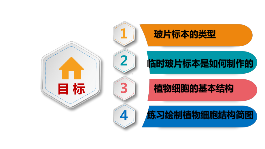 植物细胞公开课课件.pptx_第2页