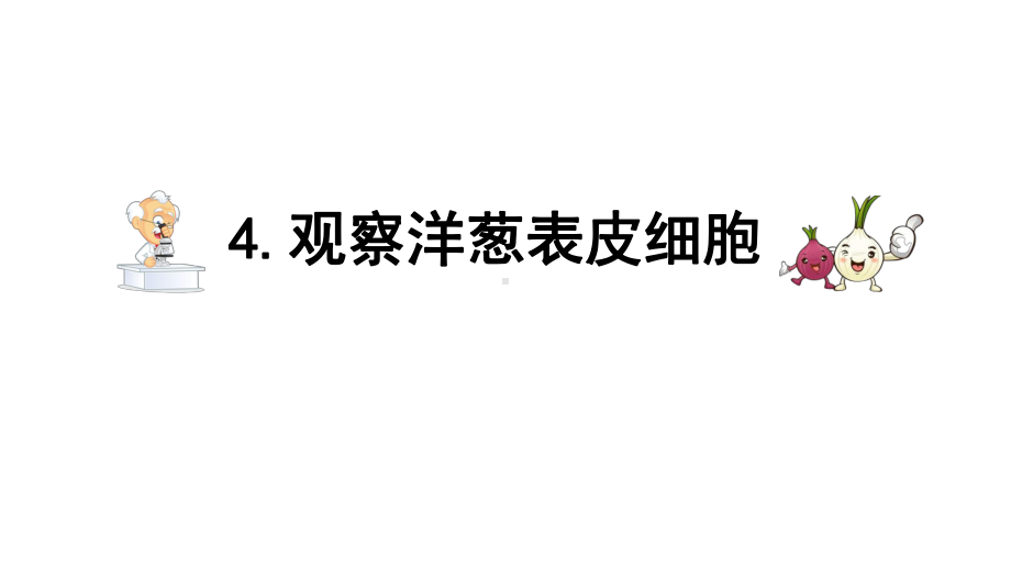 教科版六上《观察洋葱表皮细胞》教学课件.pptx_第1页