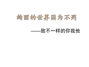 绚丽的世界因为不同—实验中学主题班会活动课ppt课件（共16张ppt）.pptx