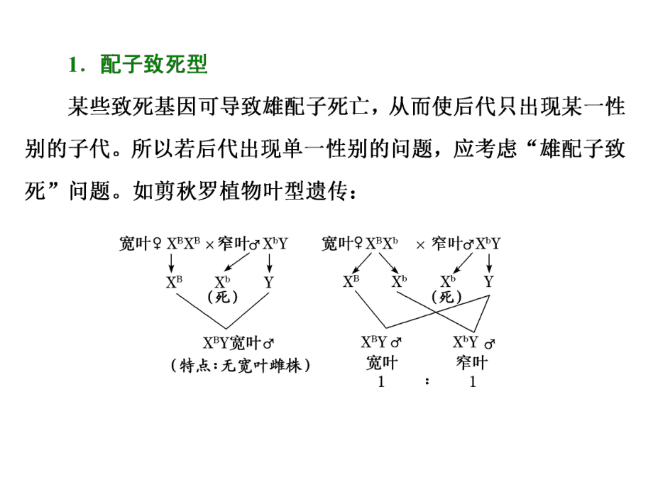 微专题6-伴性遗传与遗传系谱图中的特殊问题课件.ppt_第3页