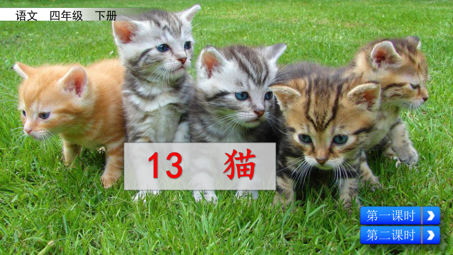 四年级语文下册13猫课件设计2课时(新部编版).pptx_第1页