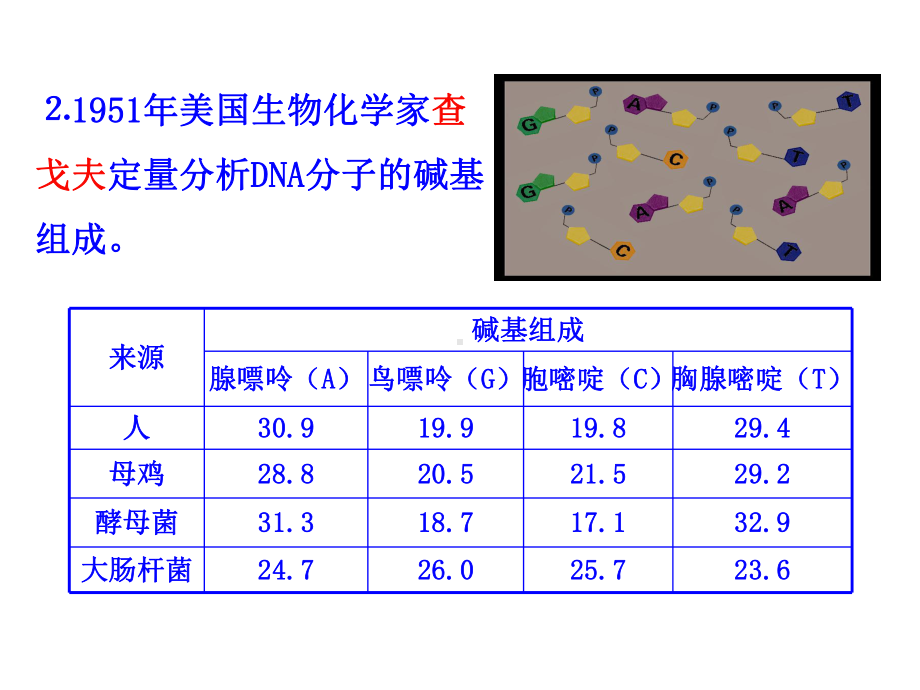 新人教版高一必修二生物第二节《DNA分子的结构》(共42张)课件.ppt_第3页