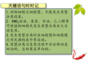 植物细胞质壁分离实验及应用课件.ppt