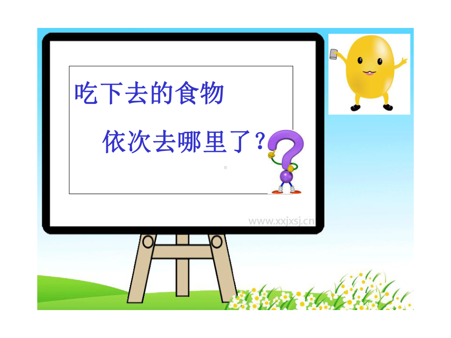 幼儿园大班科学《食物的旅行》课件.ppt_第3页