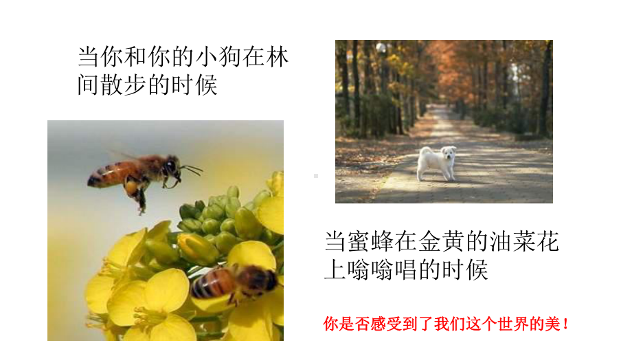 新高考高中生物开学第一课-走近细胞课件.ppt_第3页