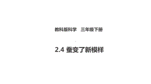 新教科版三下科学24-蚕变了新模样((课件).ppt