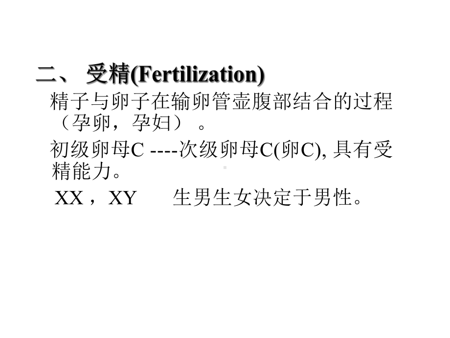 妊娠生理教案课件.ppt_第3页