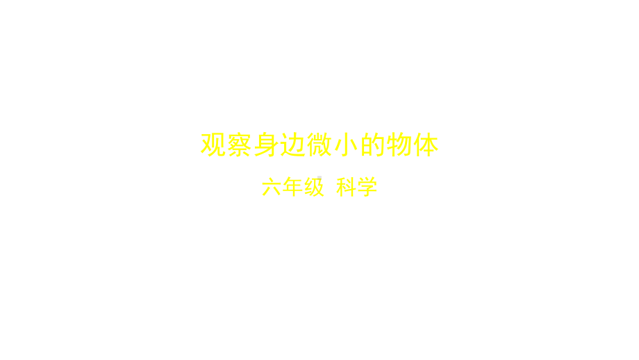 教科版科学六年级上册观察身边微小的物体-教学课件.pptx_第1页