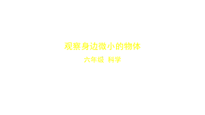 教科版科学六年级上册观察身边微小的物体-教学课件.pptx