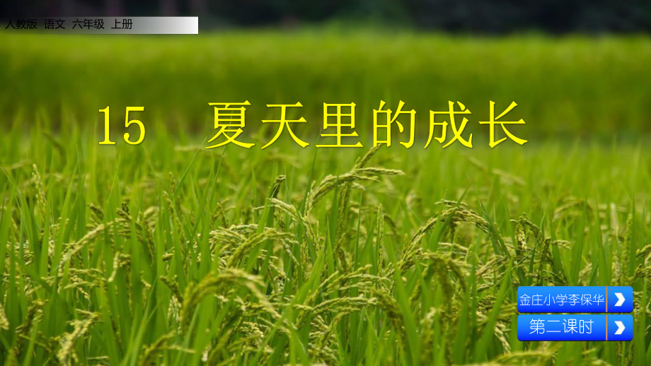 夏天里的成长课件.ppt_第1页