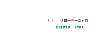 北师大版七年级数学上册第五章精选《认识一元一次方程》名师课件.pptx