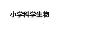 小学科学《当地生物群落研究》优质课件.pptx