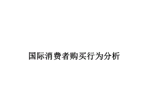 国际消费者购买行为分析课件.ppt