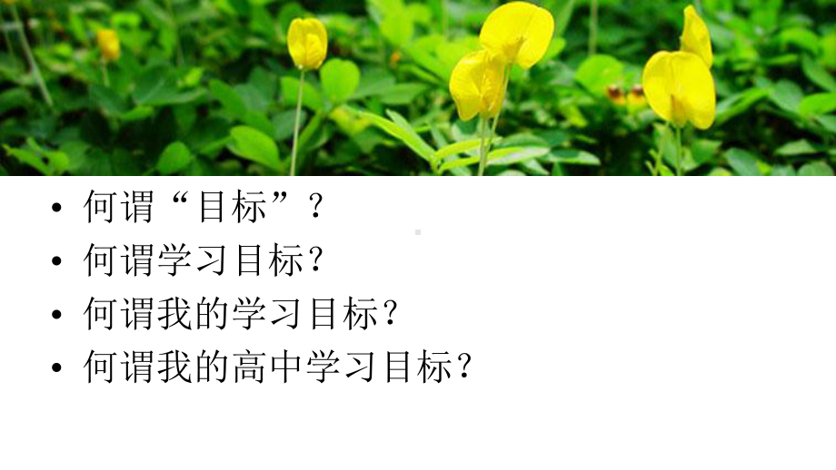 扬帆起航-主题班会课件.ppt_第3页