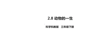 教科版小学科学新版三年级下册科学28-动物的一生(课件).pptx