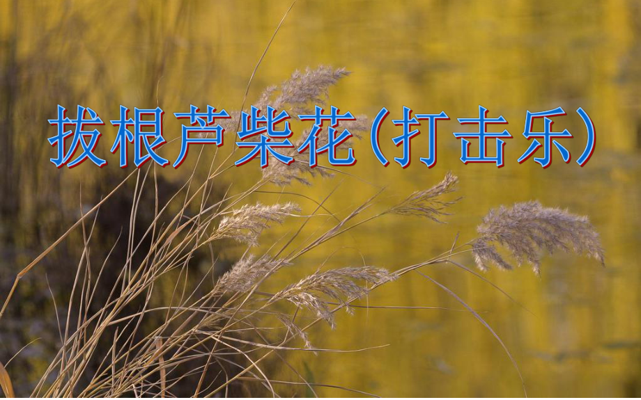 大班音乐课件《拔根芦柴花(打击乐)》.ppt_第1页