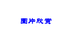 四季之美-统编人教部编版语文五年级上册-优质课名师公开课课件.ppt