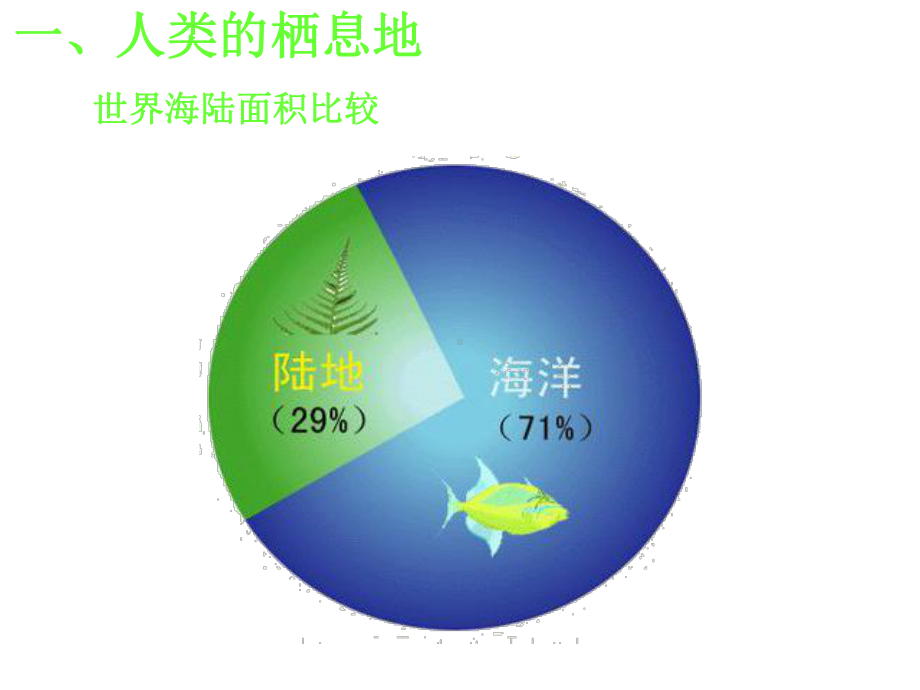 大洲和大洋-公开课课件.ppt_第3页