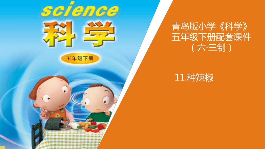 小学科学11《种辣椒》教学课件.pptx_第1页