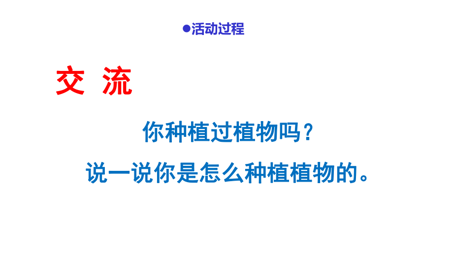 小学科学11《种辣椒》教学课件.pptx_第3页