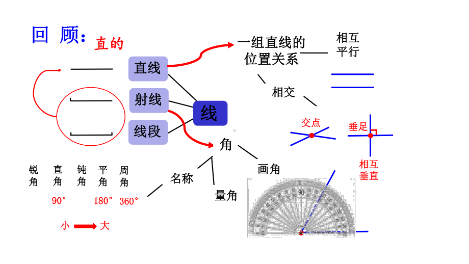 垂线和平行线(复习)课件.pptx_第3页