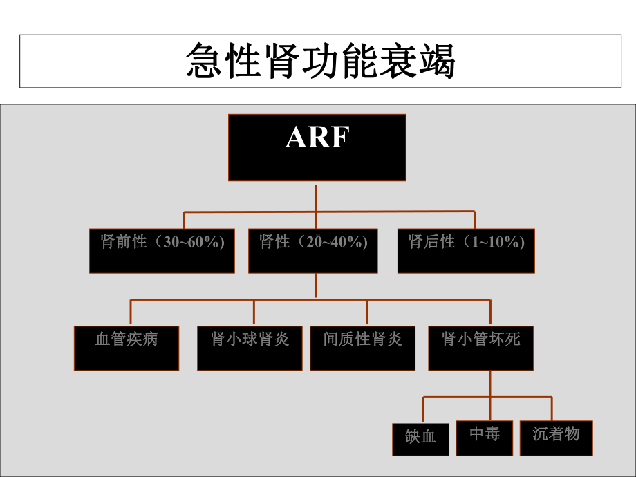 急性肾功能衰竭课件.ppt_第3页