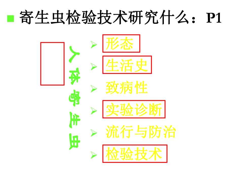 寄生虫检验1-寄生虫概述-课件.ppt_第3页