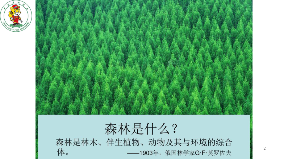 森林防火宣传课件.ppt_第2页