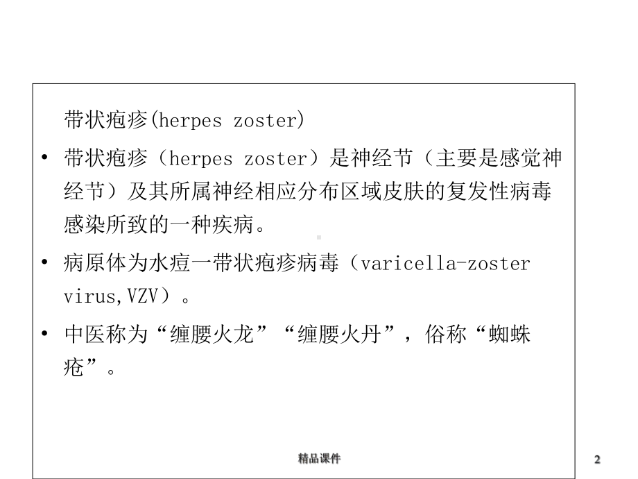 带-状-疱-疹课件.ppt_第2页