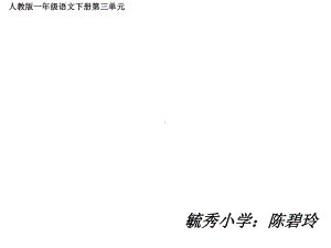 小公鸡和小鸭子公开课课件.pptx