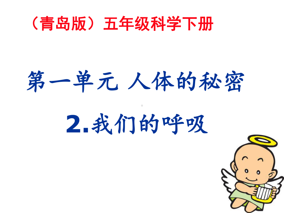 小学科学《我们的呼吸》课件-.ppt_第1页