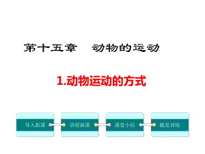 北师大版初二生物上册《-动物运动的方式》课件.ppt