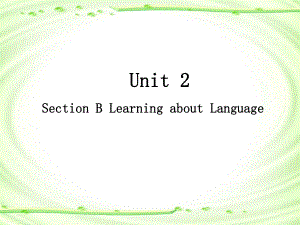 Unit 2 Section B Learning about Language (ppt课件)-2022新人教版（2019）《高中英语》选择性必修第二册.pptx