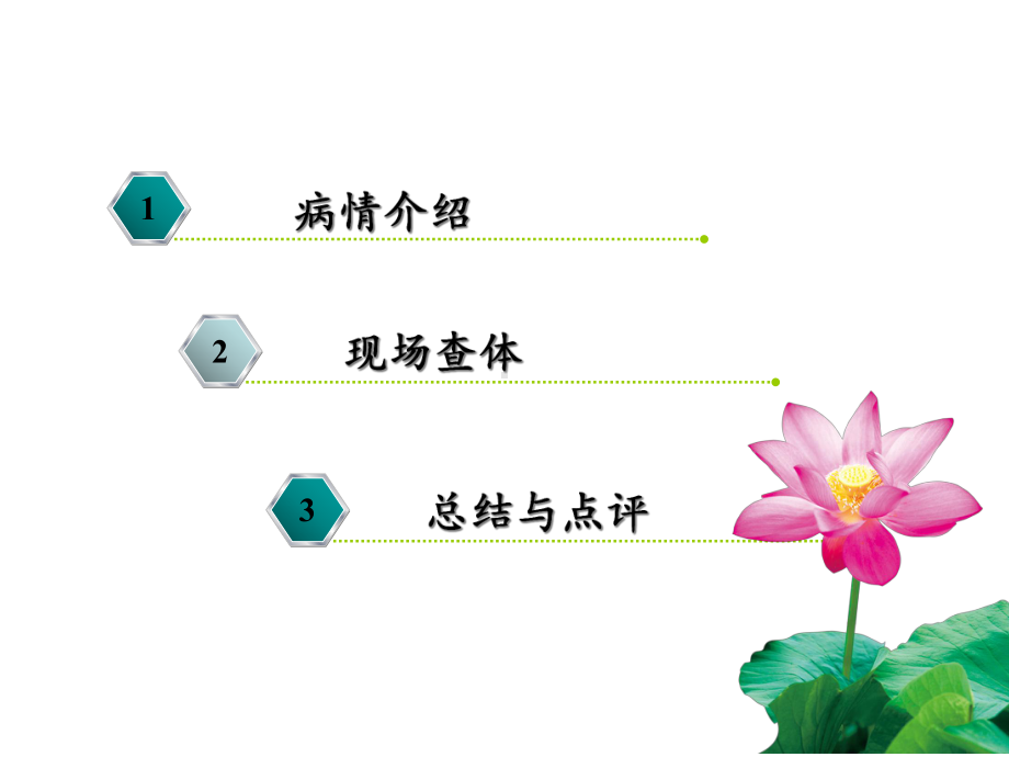 定稿[股骨干骨折术后再骨折-业务查房][可修改版]课件.ppt_第2页