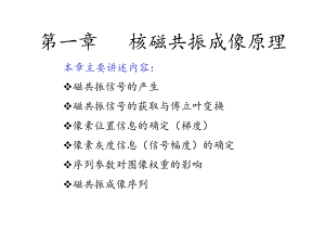 核磁共振原理(经典由简入深)课件.ppt