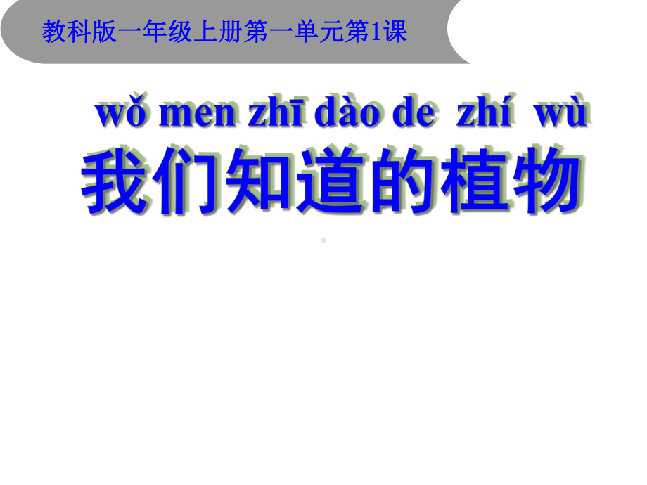 教科版小学科学一年级上册：11我们知道的植物课件.ppt_第1页