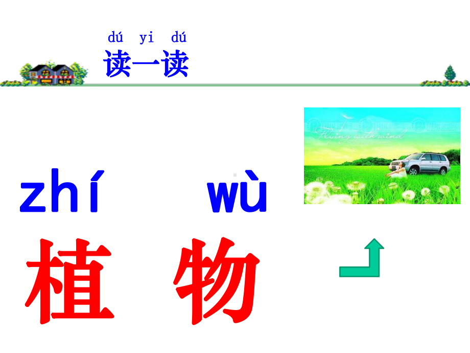 教科版小学科学一年级上册：11我们知道的植物课件.ppt_第2页