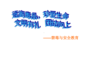 安全与禁毒教育主题班会课件.ppt