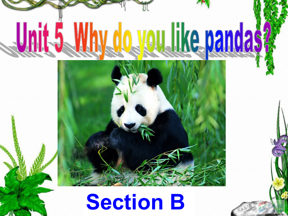 新目标七年级英语下册Unit5-Why-do-you-like-pandas-Section-B-reading课件(共27张).ppt--（课件中不含音视频）_第1页