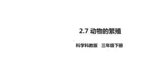 教科版小学科学新版三年级下册科学27-动物的繁殖(课件).ppt